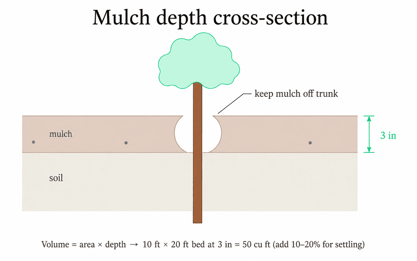 Cross-section side view of a planting bed. A horizontal mulch layer sits above soil at a 3 inch brand-green depth callout. A tree trunk passes through the bed with a visible gap of clear space around it, annotated: keep mulch off trunk.